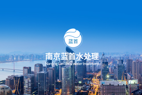 西平建站-南京蓝首水处理设备有限公司