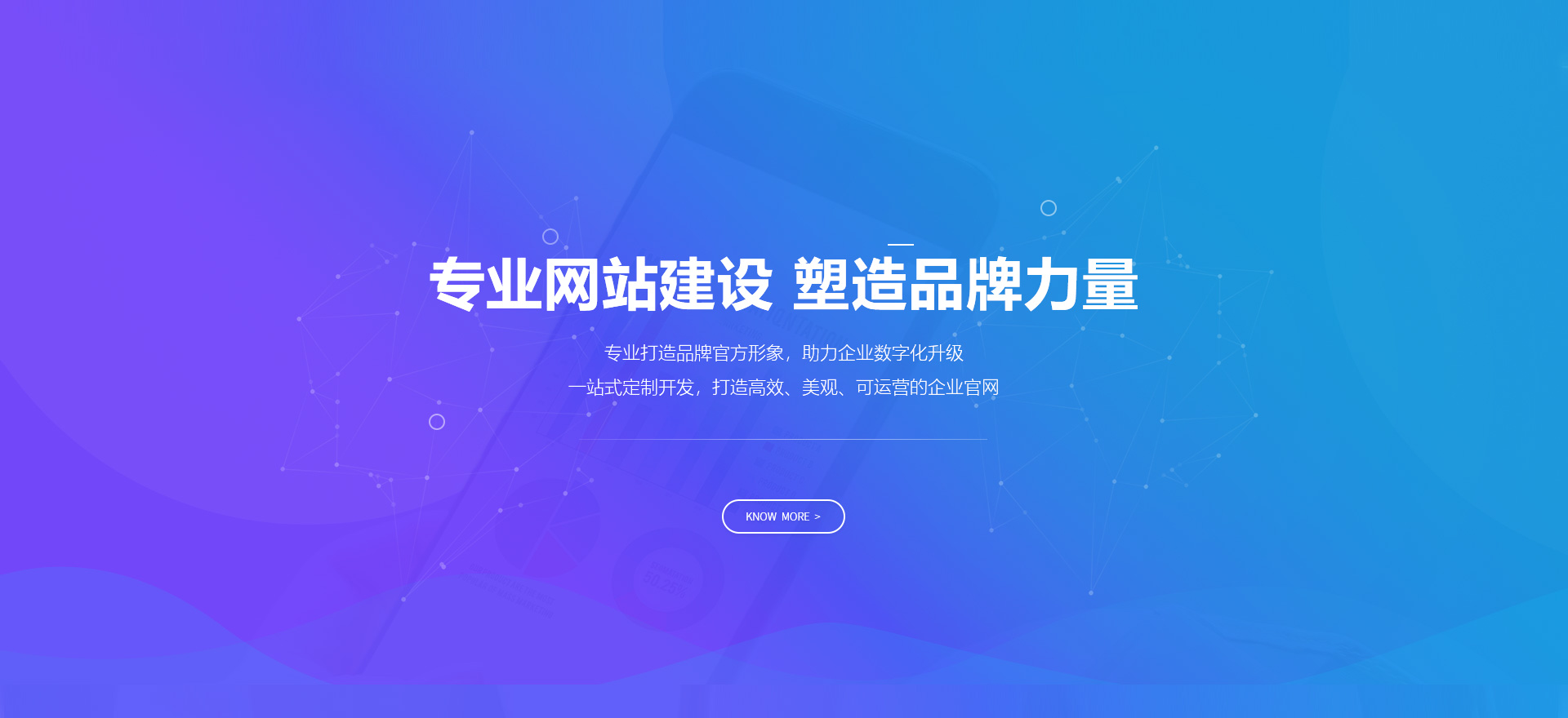 泌阳建站-专业网站建设 塑造品牌力量