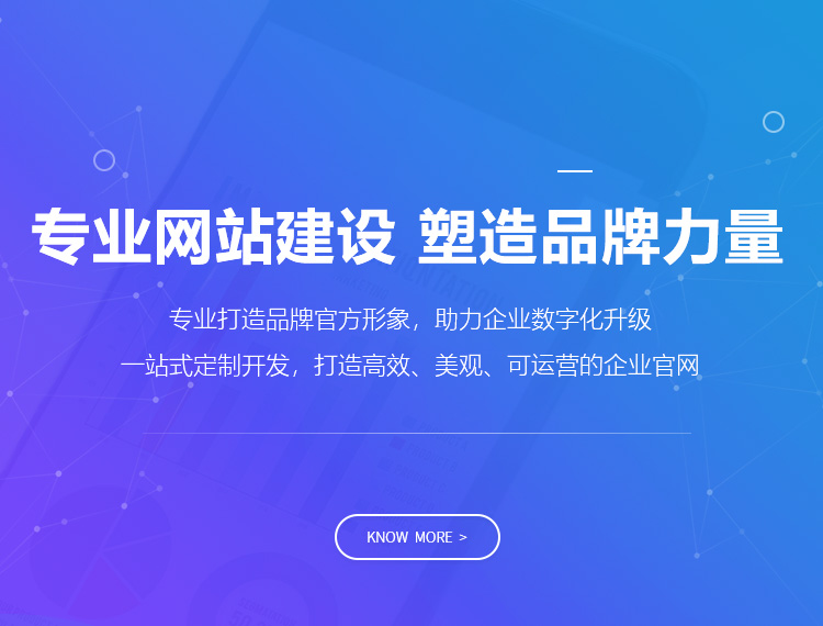 泌阳建站-专业网站建设 塑造品牌力量